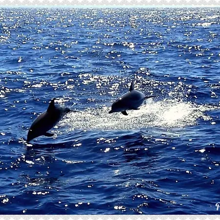 بيت للعطل Arguineguin, Direkt Am Meer, Casa Perchel